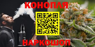 спиды Заводоуковск