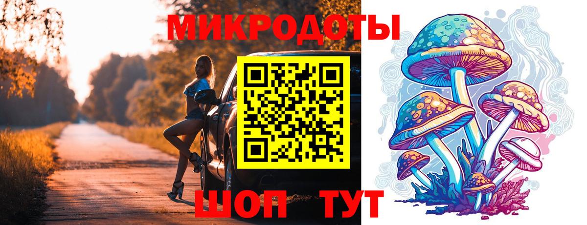 Галлюциногенные грибы Psilocybine cubensis Йошкар-Ола