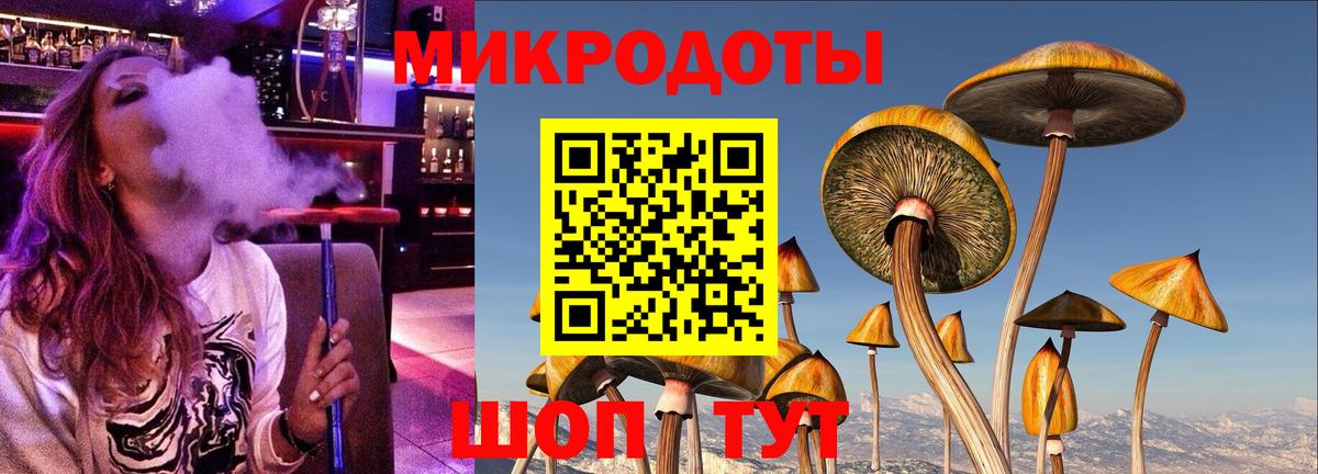 Йошкар-Ола  Псилоцибиновые грибы Magic Shrooms  Вход с VPN  Псилоцибиновые грибы мухоморы 